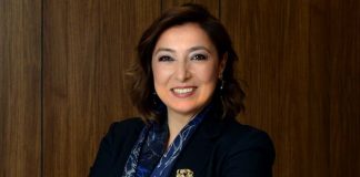 Mentor desteği de sağlıyorlar
