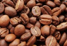 Kahve Çekirdeği