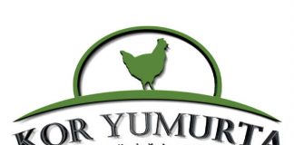 Kor Yumurta