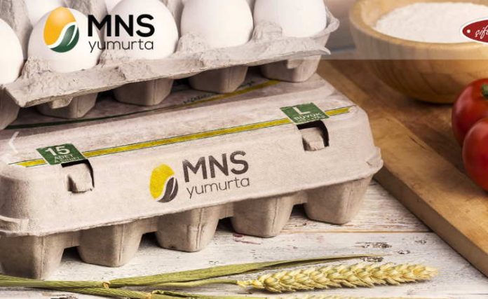 mns-yumurta