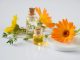 Tıbbi ve Aromatik Bitkiler Üzerine Araştırmalar Yapıldı