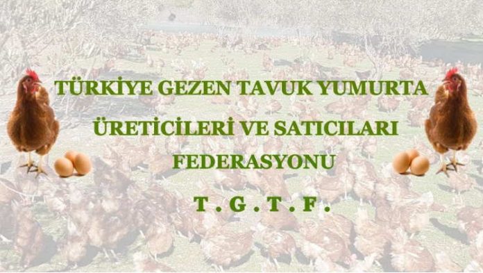 turkiye-gezen-tavuk-yumurta-ureticileri-ve-saticilari-federasyonu