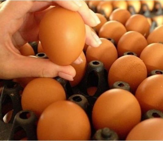 Yumurta, Bağışıklığı Güçlendirecek Öneriler Arasında