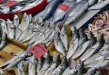 Denizlerin zenginliği olan balık ve deniz ürünleri, sağlıklı beslenmenin temel taşlarından biri olarak mutfaklarda önemli bir yer tutar. Omega-3 yağ asitleri, protein ve vitaminler açısından zengin olan bu ürünler, hem hafif hem de lezzetli yemek alternatifleri sunar. Özellikle Akdeniz ve Ege mutfağında sıkça tercih edilen balık ve deniz ürünleri, sağlıklı yaşam trendleriyle birlikte daha da popüler hale gelmiştir. Konulu bir haber görseli.