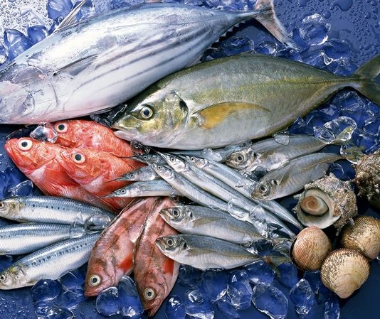 Ege Bölgesi, hem zeytin üretimi hem de balık çeşitliliği açısından Türkiye’nin en zengin coğrafyalarından biridir. Ege’nin doğal iklimi ve deniz ekosistemi, hem kaliteli zeytin yetiştiriciliğine hem de çeşitli balık türlerinin bolca avlanmasına olanak sağlar. Bu iki doğal ürün, Ege mutfağının temel taşlarını oluşturur ve sofralara hem sağlık hem de eşsiz tatlar getirir. Zeytin ve balık, bölge halkının günlük beslenmesinde önemli bir yere sahip olmakla birlikte, Türkiye’nin diğer bölgelerinde de giderek daha fazla rağbet görmektedir. Konulu bir haber görseli.