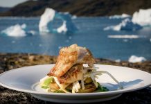 Grönland Mutfağı Grönland Mutfağı, Arktik iklimin zorluklarıyla şekillenmiş bir yemek kültürünü yansıtır. Kuzey Atlantik ile Arktik Okyanusu arasında yaşayan Inuit halkı, yüzlerce yıldır bu bölgenin doğal kaynaklarını kullanarak besleyici ve dayanıklı yemekler geliştirmiştir. Bölgedeki sert iklim, tarım faaliyetlerini kısıtladığı için mutfak, ağırlıklı olarak deniz ve kara hayvanlarının etine dayanır. Konulu bir haber görseli.