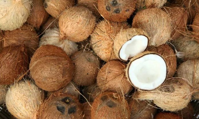 Hindistancevizi Yağıyla Pişirme ve Kavurma İle Sofralarda Lezzet Hindistancevizi yağı, mutfaklarda hem sağlıklı hem de aromatik bir pişirme malzemesi olarak öne çıkar. Hindistancevizi yağıyla pişirme, yiyeceklerin doğal lezzetini korumasına ve aroma kazanmasına yardımcı olur. Özellikle kavurma tekniklerinde bu yağ, yiyeceklerin dış yüzeyini hafifçe kızartırken iç dokusunu yumuşak bırakır. Konulu bir haber görseli.