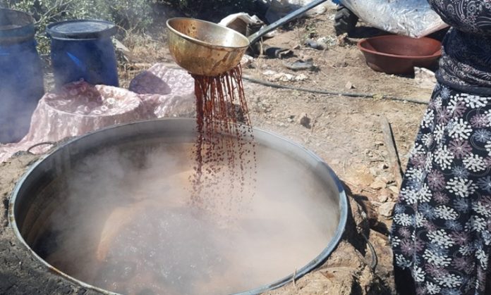 Pekmez Kaynatma Doğal Tatlıların Geleneksel Hazırlığı Pekmez, üzüm, dut veya diğer meyvelerden elde edilen yoğun ve tatlı bir şuruptur. Tarih boyunca besleyici özelliği ve uzun süre dayanabilmesi nedeniyle farklı kültürlerde değer görmüştür. Türk mutfağında ise özellikle kahvaltı sofralarının vazgeçilmez tatlarından biri olarak öne çıkar. Konulu bir haber görseli.