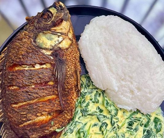 Tanzanya, Afrika kıtasının doğusunda yer alan ve hem kültürel çeşitliliği hem de doğal zenginlikleriyle dikkat çeken bir ülke olarak bilinir. Bu çeşitlilik, ülkenin mutfağına da yansımıştır. Tanzanya mutfağı, farklı etnik grupların, sömürge döneminden kalma etkilerin ve Hint Okyanusu kıyısındaki ticaret ilişkilerinin bir araya gelmesiyle oldukça geniş bir yelpazeye sahiptir. Hem baharatların yoğun kullanımı hem de doğal malzemelerin öne çıkmasıyla Tanzanya yemek kültürü, dünya mutfakları içinde kendine özgü bir yer edinmiştir. Konulu bir haber görseli.