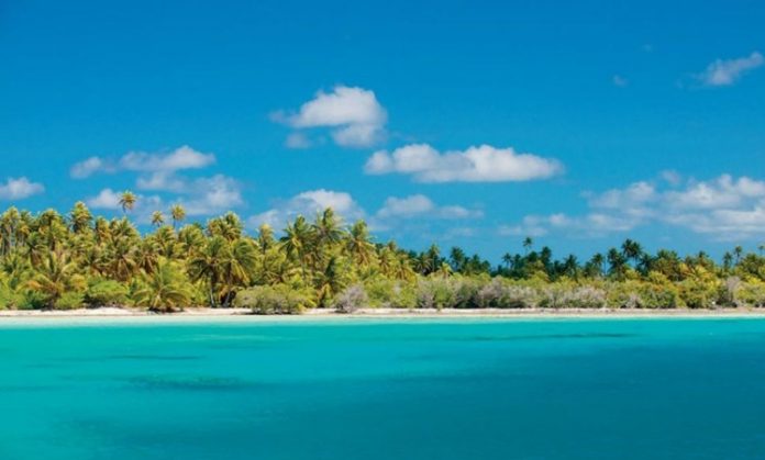 Tuamotu Mutfağı Tuamotu Mutfağı, Fransız Polinezyası’nın geniş bir atol zinciri olan Tuamotu Adaları’nın zengin kültürel geçmişini yansıtan bir gastronomi anlayışıdır. Ada halkı yüzyıllardır deniz ürünleri, tropikal meyveler ve kök sebzeleri kullanarak kendine özgü tarifler geliştirmiştir. Hindistancevizi, balık ve taro, Tuamotu mutfağının temel ögelerindendir. Konulu bir haber görseli.
