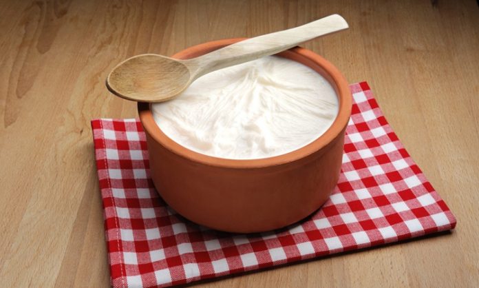 Delicious homemade creamy yoghurt Yoğurt, yüzyıllardır sofraların vazgeçilmez besinlerinden biri olmuştur. Türkiye ve çevresindeki Orta Asya coğrafyasında kökeni bulunan yoğurt, zamanla tüm dünyada bilinen ve tüketilen bir gıda haline gelmiştir. Yoğurdun mayalanma süreci ve doğal fermantasyon özelliği, onu hem besleyici hem de sağlıklı bir gıda yapar. Konulu bir haber görseli.
