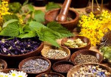 Son yıllarda bitkisel yemekler, hem sağlıklı yaşamı benimseyenler hem de çevre bilincine sahip tüketiciler arasında giderek daha popüler hale geldi. Sebzeler, baklagiller ve tahıllar, yalnızca besleyici özellikleriyle değil, aynı zamanda pratik hazırlanabilirlikleriyle de öne çıkıyor. Modern mutfaklarda, bitkisel yemekler farklı tat kombinasyonları ve pişirme teknikleriyle zenginleştiriliyor. Konulu bir haber görseli.