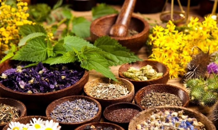 Bitkisel Yemekler Sağlıklı ve Lezzetli Alternatifler Son yıllarda bitkisel yemekler, hem sağlıklı yaşamı benimseyenler hem de çevre bilincine sahip tüketiciler arasında giderek daha popüler hale geldi. Sebzeler, baklagiller ve tahıllar, yalnızca besleyici özellikleriyle değil, aynı zamanda pratik hazırlanabilirlikleriyle de öne çıkıyor. Modern mutfaklarda, bitkisel yemekler farklı tat kombinasyonları ve pişirme teknikleriyle zenginleştiriliyor. Konulu bir haber görseli.