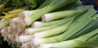 Pırasa: Sofraların Sağlıklı Yeşil Lezzeti Pırasa, hem lezzeti hem de sağlığa faydaları ile mutfaklarımızda önemli bir yere sahiptir. Tarih boyunca Akdeniz ve Anadolu mutfağında sıkça kullanılan pırasa, vitamin ve mineral bakımından oldukça zengindir. İçerdiği A, C ve K vitaminleri sayesinde bağışıklığı güçlendirirken, potasyum ve demir mineralleri ile vücuda enerji sağlar. Konulu bir haber görseli.