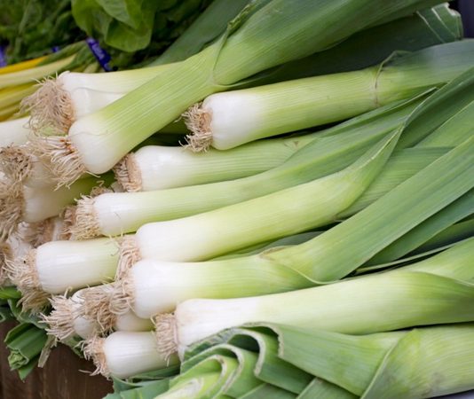 Pırasa, hem lezzeti hem de sağlığa faydaları ile mutfaklarımızda önemli bir yere sahiptir. Tarih boyunca Akdeniz ve Anadolu mutfağında sıkça kullanılan pırasa, vitamin ve mineral bakımından oldukça zengindir. İçerdiği A, C ve K vitaminleri sayesinde bağışıklığı güçlendirirken, potasyum ve demir mineralleri ile vücuda enerji sağlar. Konulu bir haber görseli.