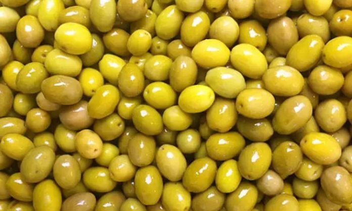 Yeşil zeytin, Akdeniz mutfağının en bilinen tatlarından biri olarak sofralarda önemli bir yere sahiptir. Kahvaltıdan salatalara, mezelerden ana yemeklere kadar geniş bir kullanım alanı sunar. Özellikle ferah aroması ve hafif tuzlu yapısı sayesinde her yaştan insanın severek tükettiği bir besindir. Aynı zamanda içerdiği sağlıklı yağlar ve vitaminler sayesinde dengeli bir beslenme için de idealdir. Konulu bir haber görseli.
