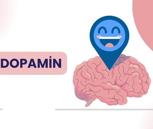 Dopamin Diyeti Zihinsel Motivasyonu Ve Enerjiyi Destekleyen Beslenme Yaklaşımı Modern yaşamda motivasyon eksikliği, odaklanma sorunları ve zihinsel yorgunluk giderek daha sık konuşulan konular arasında yer alıyor. Bu noktada beynin ödül ve motivasyon sistemiyle doğrudan ilişkili olan dopamin hormonu ön plana çıkıyor. Dopamin diyeti, yalnızca fiziksel ihtiyaçlara değil, zihinsel performans ve ruhsal dengeye de odaklanan bütüncül bir beslenme yaklaşımı olarak dikkat çekiyor. Konulu bir haber görseli.