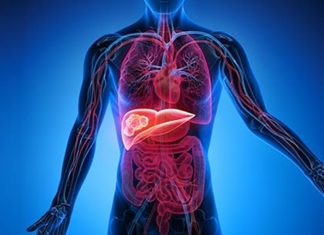 Karaciğer Temizleme Diyeti ile Sağlıklı Bir Vücut İçin Doğal Arınma Rehberi Karaciğer, vücudun en önemli detoks organlarından biridir ve sağlıklı çalışması genel sağlık açısından kritik bir rol oynar. Modern yaşamda işlenmiş gıdalar, alkol ve stres gibi faktörler karaciğerin yükünü artırabilir. Bu nedenle karaciğer temizleme diyeti, vücudu toksinlerden arındırmak, metabolizmayı desteklemek ve enerji seviyelerini yükseltmek için etkili bir yöntem olarak öne çıkıyor. Bu diyet, doğru uygulandığında hem besleyici hem de güvenli bir yaşam tarzı sağlar. Konulu bir haber görseli.