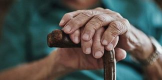 İleri yaş döneminde beslenme, yalnızca karın doyurmakla sınırlı olmayan, doğrudan yaşam kalitesini etkileyen önemli bir faktördür. yaşlı beslenmesi, vücudun değişen ihtiyaçlarına uyum sağlamayı, hastalıklara karşı direnci artırmayı ve günlük yaşamda bağımsızlığı desteklemeyi amaçlar. Yaş ilerledikçe metabolizma yavaşlar, kas kütlesi azalır ve bazı besin ögelerine olan ihtiyaç farklılaşır. Bu nedenle yaşlı beslenmesi, gençlik dönemindeki alışkanlıklardan farklı bir bilinçle ele alınmalıdır.