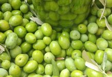 Zeytin Ağaçlarından Sofralara Uzanan Zeytin Kırma Geleneği Akdeniz ve Ege coğrafyasının mutfak kültüründe özel bir yere sahip olan zeytin kırma, yalnızca bir hazırlık yöntemi değil, aynı zamanda köklü bir yaşam alışkanlığıdır. Zeytin ağaçlarının meyvesi olan zeytinin sofraya ulaşmadan önce geçirdiği bu süreç, sabır ve deneyim gerektirir. Zeytin kırma, doğrudan tüketilemeyen zeytinin geleneksel yöntemlerle yenilebilir hâle getirilmesini sağlar. Konulu bir haber görseli.
