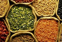 Baklagil proteini, son yıllarda sağlıklı yaşam ve bitki temelli beslenme trendlerinin yükselmesiyle birlikte daha fazla ilgi gören besin unsurlarından biri haline gelmiştir. Mercimek, nohut, fasulye ve bezelye gibi baklagillerden elde edilen bu protein türü, hem doğal yapısı hem de besleyici içeriğiyle dikkat çekmektedir. Hayvansal proteinlere alternatif arayan bireyler için baklagil proteini, dengeli ve sürdürülebilir bir beslenme anlayışının önemli bir parçası olarak öne çıkmaktadır. Konulu bir haber görseli.