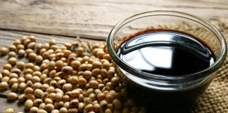 Bitkisel Gücün Simgesi Soya’nın Küresel Önemi ve Yükselen Değeri Soya, günümüz dünyasında hem gıda hem de sanayi alanında stratejik bir konuma sahip olan en önemli tarım ürünlerinden biri olarak öne çıkıyor. Yüksek protein içeriği, çok yönlü kullanım alanı ve küresel ticaretteki payıyla dikkat çeken Soya, yalnızca bir baklagil değil; aynı zamanda modern beslenme ve endüstriyel üretimin temel taşlarından biri olarak kabul ediliyor. Hayvan yeminden bitkisel yağlara, et alternatiflerinden biyoyakıta kadar uzanan geniş bir kullanım yelpazesi, soyanın değerini her geçen gün daha da artırıyor. Konulu bir haber görseli.