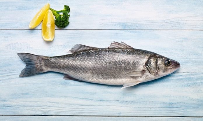 Deniz balıkları, hem beslenme kültürünün hem de sağlıklı yaşam anlayışının en önemli unsurlarından biri olarak öne çıkıyor. Yüzyıllardır kıyı toplumlarının temel gıda kaynağı olan balık, günümüzde de protein ihtiyacını karşılayan doğal ve değerli bir besin olarak kabul ediliyor. Özellikle deniz balıkları, tatlı su balıklarına kıyasla besin değeri ve yağ profili açısından farklı özellikler taşıyor. Konulu bir haber görseli.