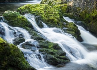 Doğal Kaynak Suyu Sağlıklı Yaşamın Temel Taşı Doğal kaynak suyu, yeryüzünün derinliklerinden süzülerek gelen ve hiçbir kimyasal işlem görmeden insan tüketimine sunulan en saf içeceklerden biri olarak kabul ediliyor. Günümüzde sağlıklı yaşam bilincinin artmasıyla birlikte doğal kaynak suyu, yalnızca susuzluğu gidermek için değil, vücudun günlük ihtiyaçlarını destekleyen temel bir unsur olarak görülüyor. Yer altı katmanlarından geçerken mineral kazanması, bu suyu sıradan içme sularından ayıran en önemli özellikler arasında yer alıyor. Konulu bir haber görseli.