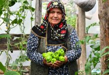 Son yıllarda sağlıklı yaşam arayışının artmasıyla birlikte organik sebzeler gıda tercihlerinde çok daha görünür hale geldi. Tüketiciler artık sadece doyurucu değil, aynı zamanda doğaya ve insan sağlığına zarar vermeyen ürünlere yöneliyor. Bu yönelim, tarım anlayışını da kökten değiştirirken, kimyasal girdilerden uzak üretim modellerini ön plana çıkarıyor. Özellikle şehir hayatının getirdiği hızlı tüketim alışkanlıkları, insanları daha bilinçli seçimler yapmaya itiyor. Konulu bir haber görseli.