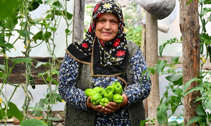 Organik Sebzeler Doğal Beslenmenin Yükselen Değeri Son yıllarda sağlıklı yaşam arayışının artmasıyla birlikte organik sebzeler gıda tercihlerinde çok daha görünür hale geldi. Tüketiciler artık sadece doyurucu değil, aynı zamanda doğaya ve insan sağlığına zarar vermeyen ürünlere yöneliyor. Bu yönelim, tarım anlayışını da kökten değiştirirken, kimyasal girdilerden uzak üretim modellerini ön plana çıkarıyor. Özellikle şehir hayatının getirdiği hızlı tüketim alışkanlıkları, insanları daha bilinçli seçimler yapmaya itiyor. Konulu bir haber görseli.