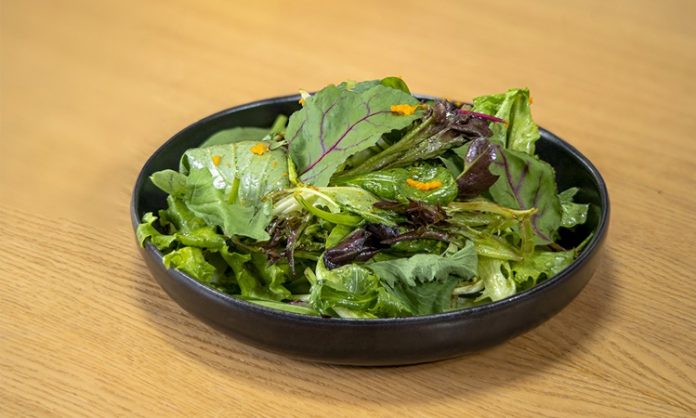 Günümüzde beslenme alışkanlıklarının değişmesiyle birlikte daha hafif, pratik ve doğal öğünlere yönelim dikkat çekiyor. Bu dönüşümün merkezinde ise salata malzemeleri yer alıyor. Artık salata, yalnızca yemeklerin yanında sunulan basit bir tabak olmaktan çıkıp başlı başına bir öğün olarak değerlendiriliyor. Farklı malzemelerin bir araya gelmesiyle hazırlanan salatalar, hem doyurucu hem de besleyici özellikleriyle öne çıkıyor. Konulu bir haber görseli.