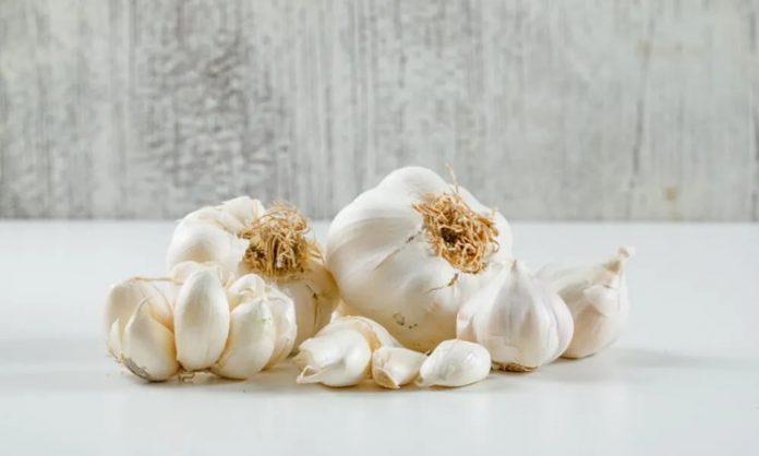Sarımsağın Sofralardaki Gücü Doğal Lezzetin Ve Şifanın Yükselen Değeri Mutfakların vazgeçilmez aromalarından biri olan sarımsak, yalnızca yemeklere kattığı yoğun lezzetle değil, aynı zamanda sağlık açısından sunduğu faydalarla da yüzyıllardır insan hayatında önemli bir yer tutuyor. Antik çağlardan bu yana kullanılan sarımsak, bugün modern mutfaklarda da hem geleneksel hem de yenilikçi tariflerin temel bileşenleri arasında bulunuyor. Çiğ, pişmiş, toz ya da sos formunda tüketilebilen sarımsak, dünya genelinde en çok tercih edilen doğal tatlandırıcılardan biri olarak öne çıkıyor. Konulu bir haber görseli.