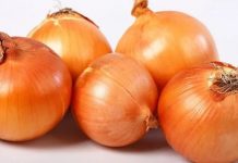 Mutfakların en temel bileşenlerinden biri olan soğan, hem lezzet verici özelliği hem de sağlık açısından sunduğu faydalarla dünya genelinde en çok tüketilen sebzeler arasında yer alıyor. Antik çağlardan bu yana kullanılan soğan, bugün modern mutfakların da vazgeçilmezleri arasında bulunuyor. Çiğ olarak salatalarda, pişmiş halde yemeklerde, çorbalarda ve soslarda kullanılan soğan, hemen her kültürde kendine özgü bir yer edinmiş durumda. Konulu bir haber görseli.
