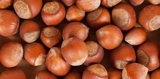 Sağlıklı beslenme denildiğinde akla gelen ilk doğal gıdalar arasında fındık, badem ve ceviz yer alıyor. Yüzyıllardır hem geleneksel mutfaklarda hem de modern beslenme programlarında önemli bir konuma sahip olan bu kuruyemişler, zengin besin değerleriyle dikkat çekiyor. Günlük hayatta ara öğünlerden kahvaltı sofralarına, tatlılardan salatalara kadar pek çok alanda kullanılan bu ürünler, doğal yapıları sayesinde dengeli beslenmenin temel taşlarından biri olarak görülüyor. Konulu bir haber görseli.